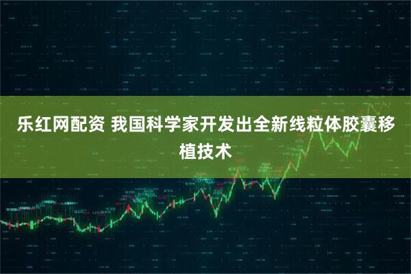 乐红网配资 我国科学家开发出全新线粒体胶囊移植技术