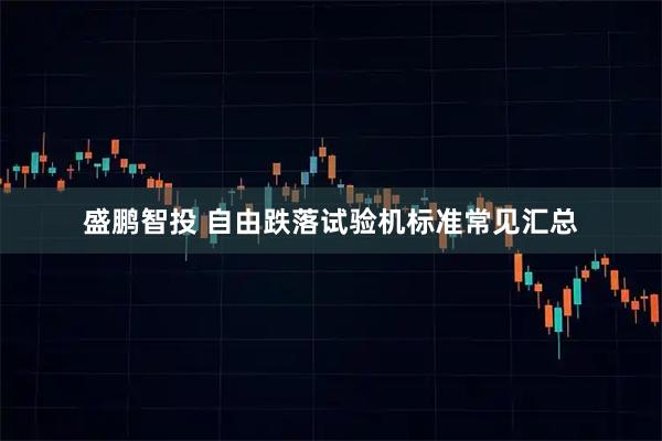 盛鹏智投 自由跌落试验机标准常见汇总