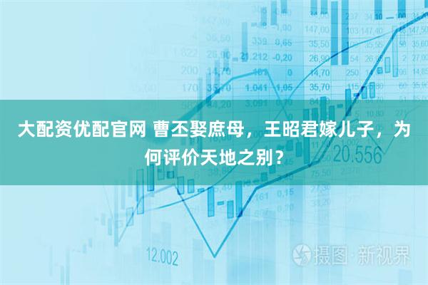 大配资优配官网 曹丕娶庶母，王昭君嫁儿子，为何评价天地之别？